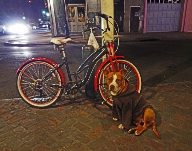 furto roubo bicicleta furto roubo bicicleta